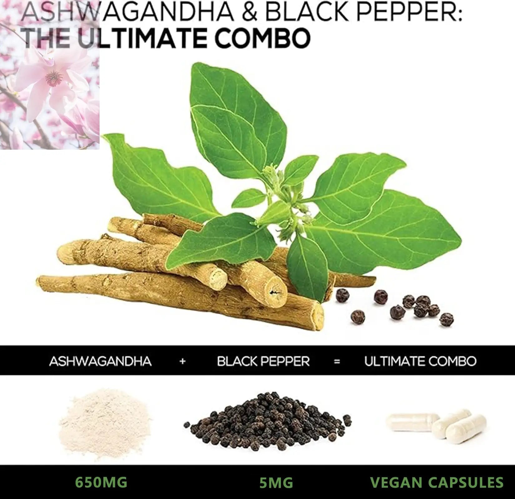 Ashwagandha Supplements Capsules Vegan Stress Relief Immune Support Supplement Balanced Energy Levels And Mood Organic - Rooted & Regenerative: Sustainable Foods for the Future Rooted & Regenerative: Sustainable Foods for the Future Health & Welness
