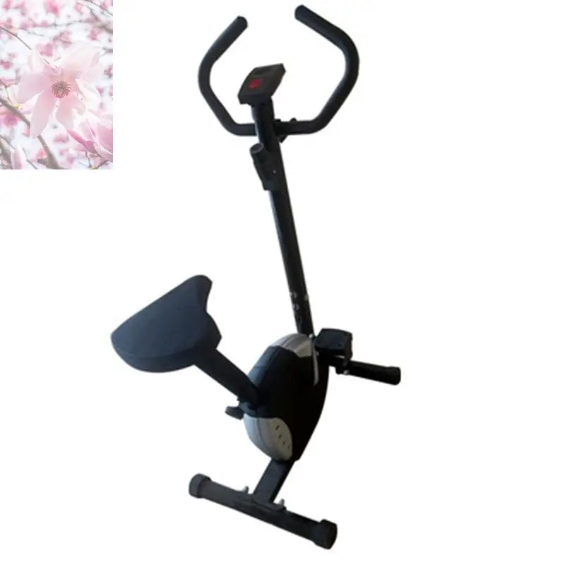 Home Office Bicycle Spinning Fitness Bicycle Fitness Equipment Ribbon Car - Rooted Regenerative: Sustainable Foods for the Future