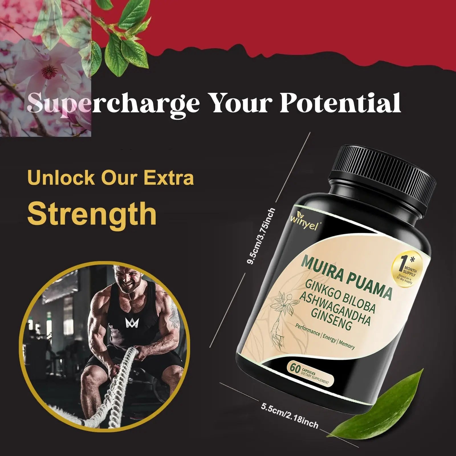 Muira Puama Ginseng Ashwagandha Ginkgo Tribulus  Herbal Supplements  Unleash Your Potential Through Our Pills  Dietary Supplements, Help Promote An Active And Healthy Lifestyle  60 Capsules - Rooted Regenerative: Sustainable Foods for the Future