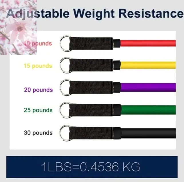 Rally Resistance Band Fitness Equipment - Rooted & Regenerative: Sustainable Foods for the Future Rooted & Regenerative: Sustainable Foods for the Future Health & Welness