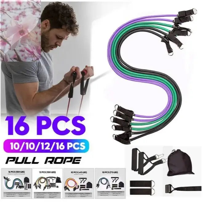 Rally Resistance Band Fitness Equipment - Rooted & Regenerative: Sustainable Foods for the Future Rooted & Regenerative: Sustainable Foods for the Future Health & Welness