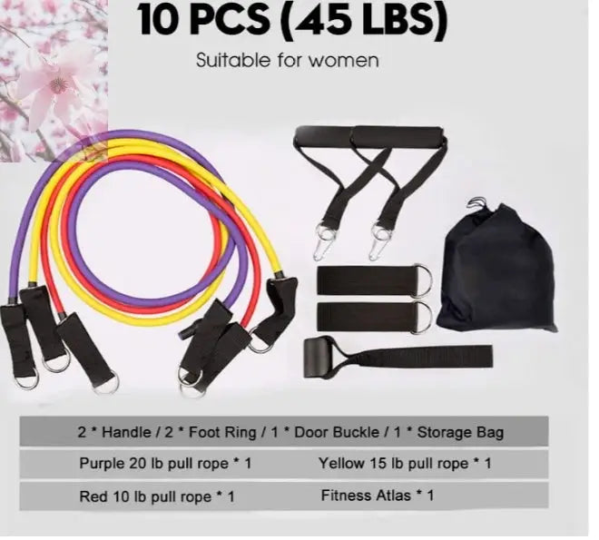 Rally Resistance Band Fitness Equipment - Rooted & Regenerative: Sustainable Foods for the Future Rooted & Regenerative: Sustainable Foods for the Future Health & Welness