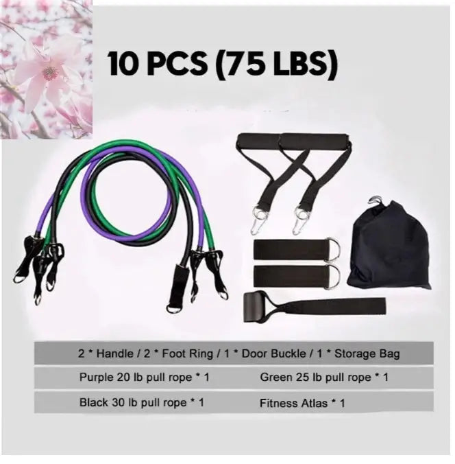 Rally Resistance Band Fitness Equipment - Rooted & Regenerative: Sustainable Foods for the Future Rooted & Regenerative: Sustainable Foods for the Future Health & Welness