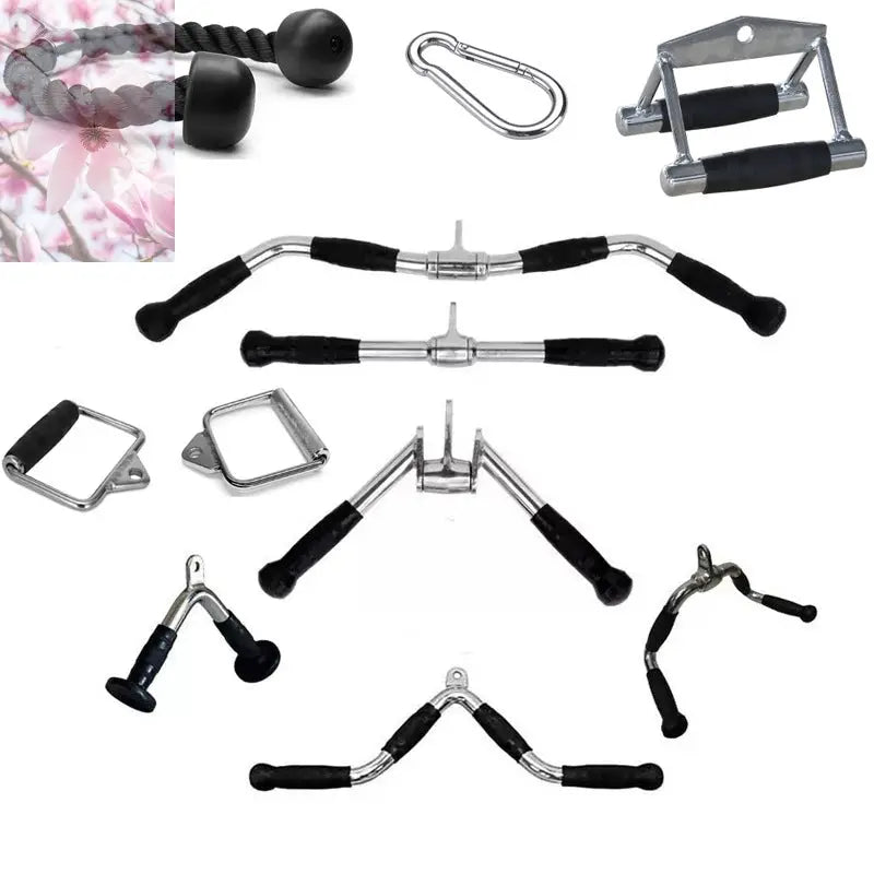 Sports fitness equipment - Rooted Regenerative: Sustainable Foods for the Future