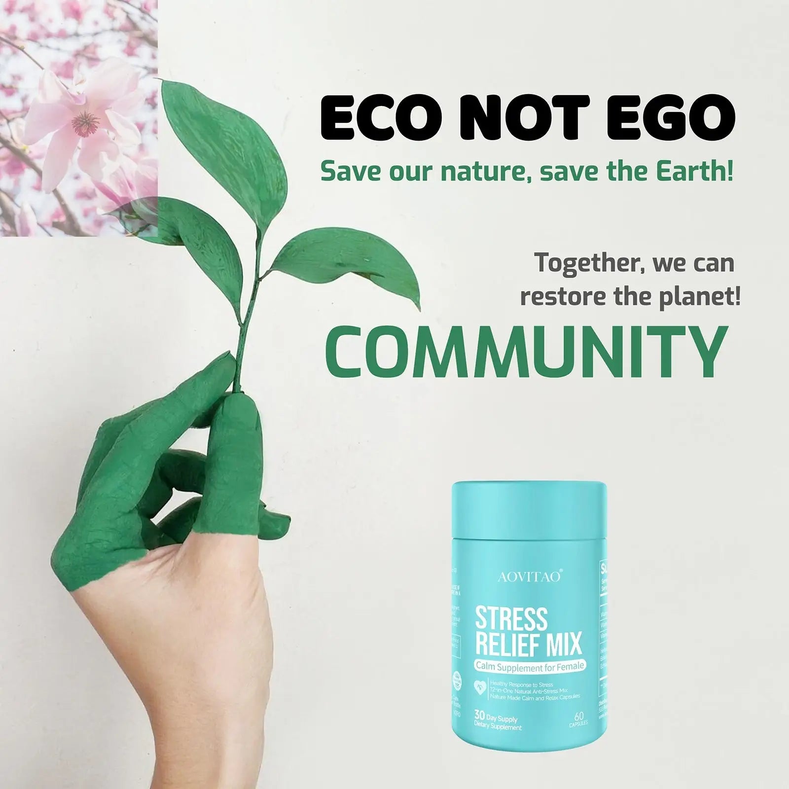 Ashwagandha For Women Supplement With L-Theanine Magnesium, Stress Relief, Focus And Relaxation Support Anxiery Pill - Rooted Regenerative: Sustainable Foods for the Future