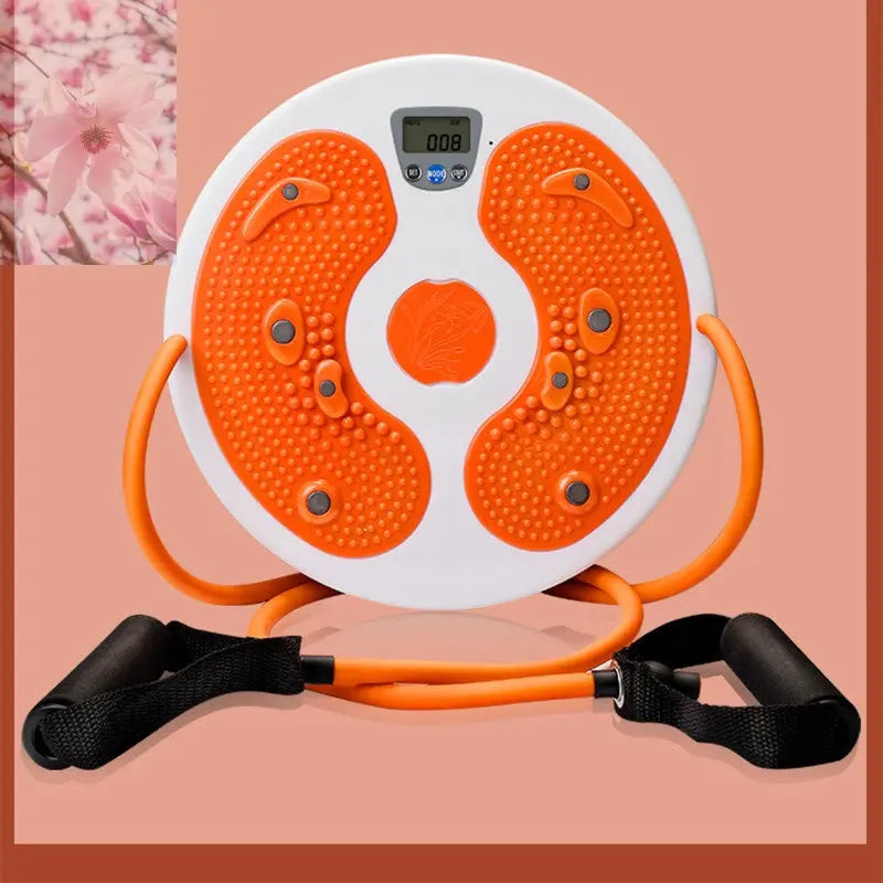 Massage Twisting Disk Mute Waist Weight Loss Fitness Equipment - Rooted Regenerative: Sustainable Foods for the Future