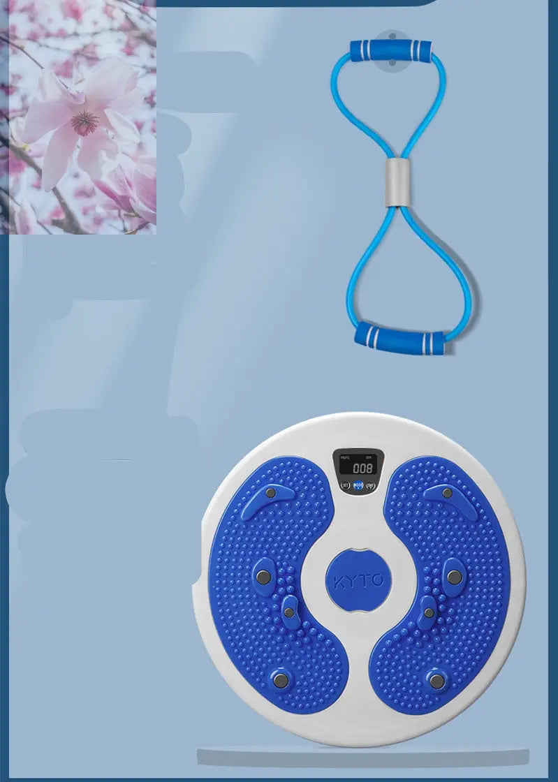 Massage Twisting Disk Mute Waist Weight Loss Fitness Equipment - Rooted Regenerative: Sustainable Foods for the Future