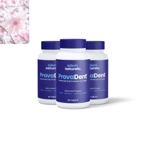 ProvaDent - Doctor Endorsed Dental Health Formula - Rooted Regenerative: Sustainable Foods for the Future