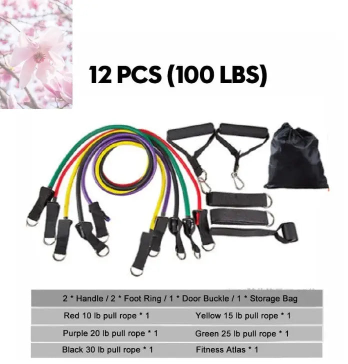 Rally Resistance Band Fitness Equipment - Rooted & Regenerative: Sustainable Foods for the Future Rooted & Regenerative: Sustainable Foods for the Future Health & Welness