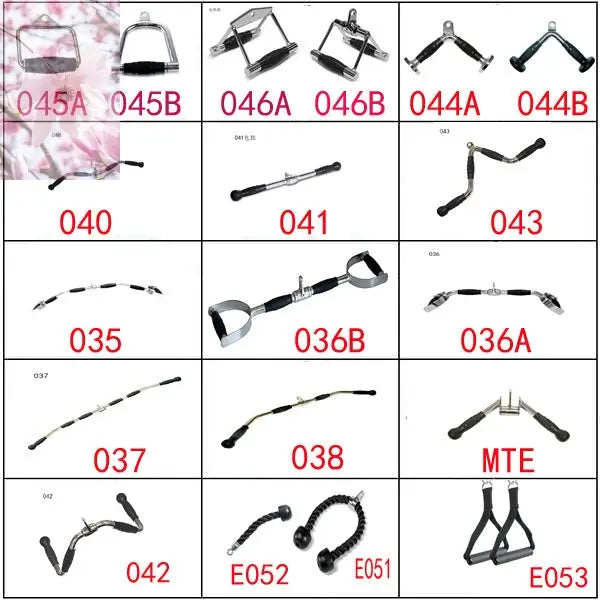 Sports fitness equipment - Rooted Regenerative: Sustainable Foods for the Future