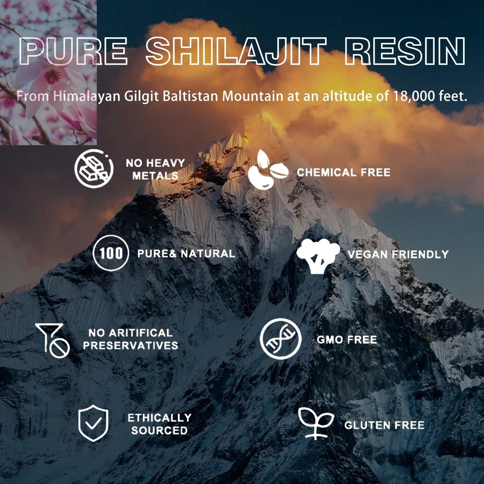 Relieve Physical Discomfort, Supplement Energy, Strengthen Vitality, Body Health Care - Rooted Regenerative: Sustainable Foods for the Future