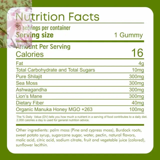 4 In 1 GUMMIES - Rooted & Regenerative: Sustainable Foods for the Future Rooted & Regenerative: Sustainable Foods for the Future Health & Welness