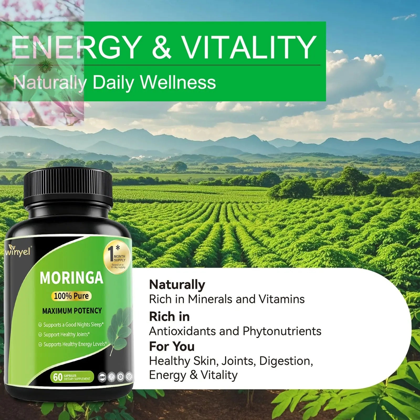 Pure Moringa Capsules - High Potency, Health & Fitness With Essential Vitamins & Amino Acids - 60 Capsules - Rooted Regenerative: Sustainable Foods for the Future