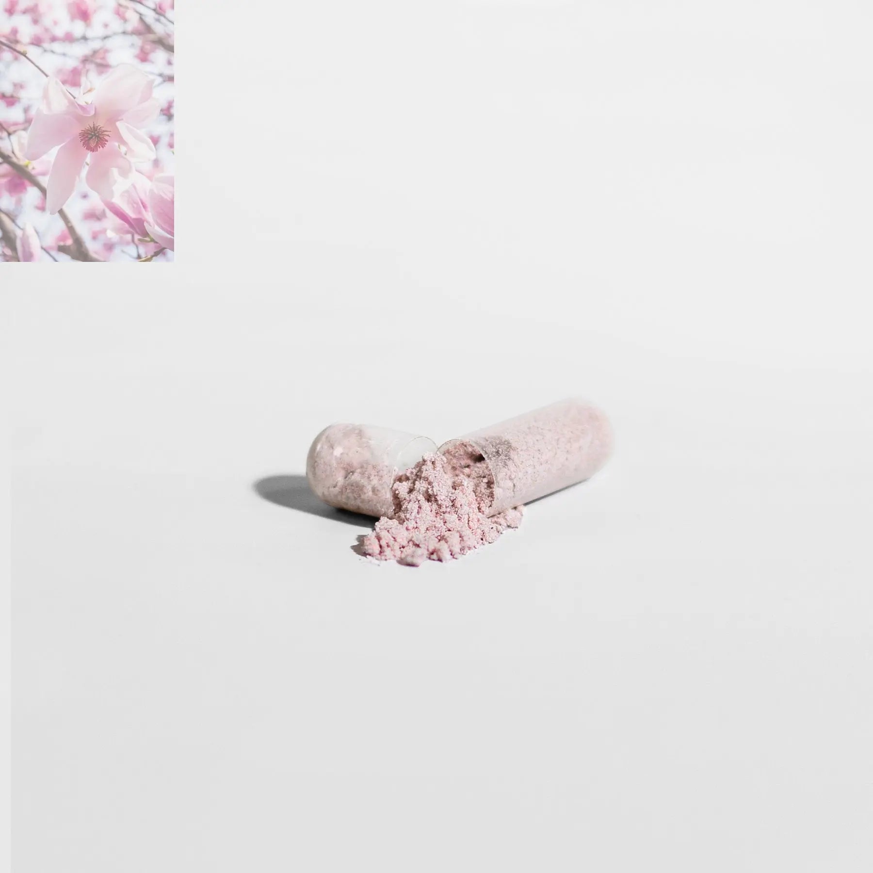 Vendercart Vision Support Supplement Eye Health, Visual Clarity, And Night Vision Boost - Rooted Regenerative: Sustainable Foods for the Future