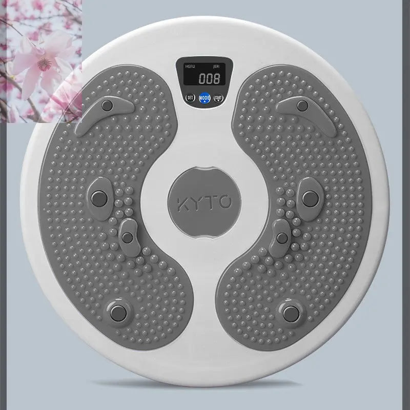 Massage Twisting Disk Mute Waist Weight Loss Fitness Equipment - Rooted Regenerative: Sustainable Foods for the Future