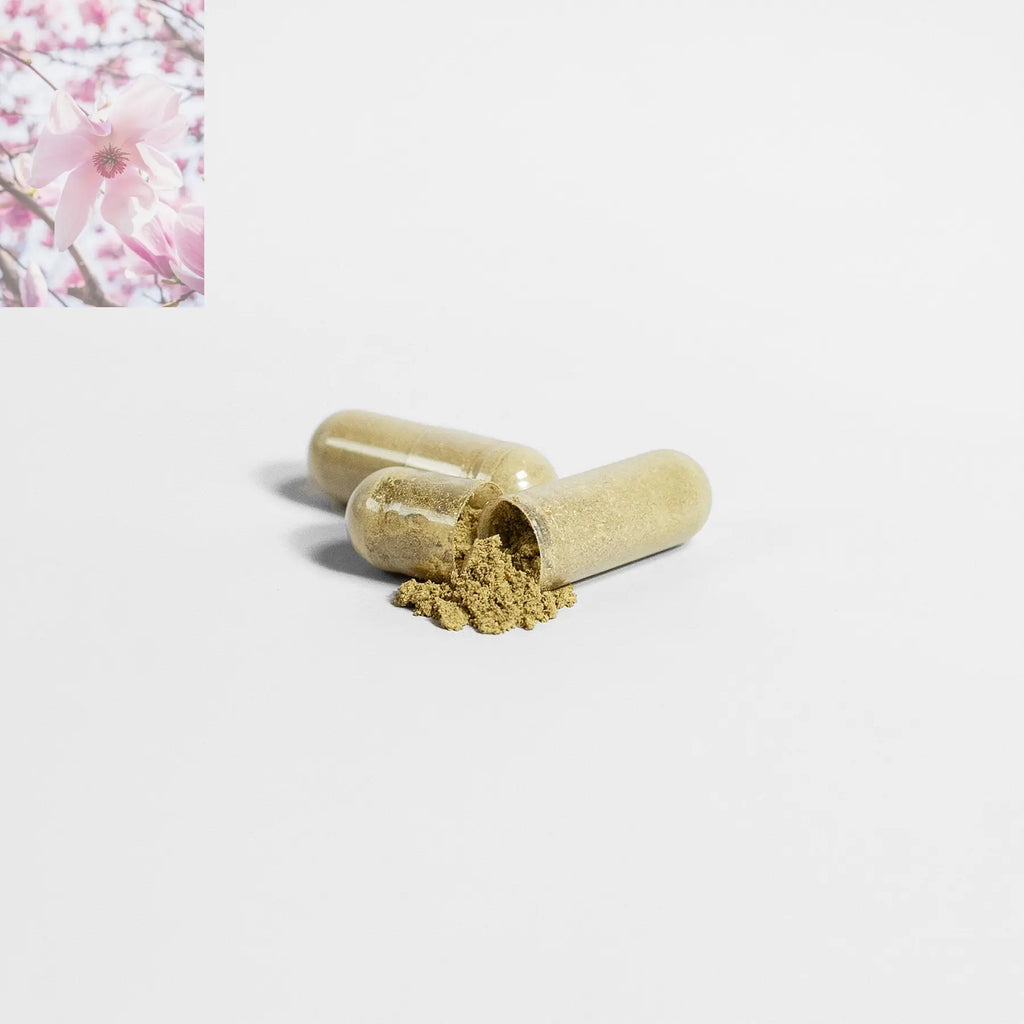 Premium Moringa Pure Nutrient-Rich Superfood For Energy Wellness - Rooted Regenerative: Sustainable Foods for the Future