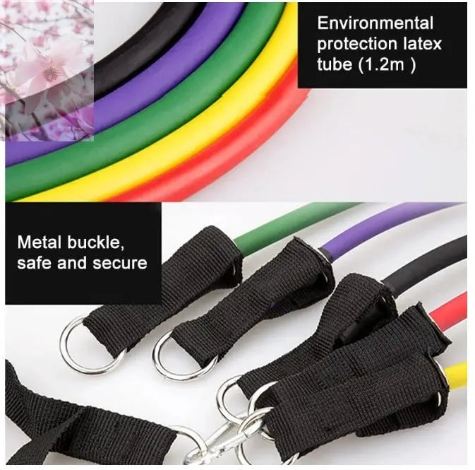Rally Resistance Band Fitness Equipment - Rooted & Regenerative: Sustainable Foods for the Future Rooted & Regenerative: Sustainable Foods for the Future Health & Welness