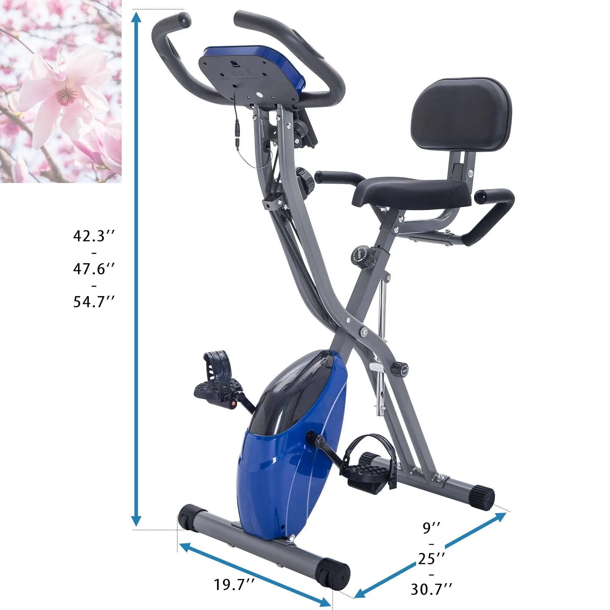 Folding Exercise Bike Fitness Upright  Recumbent X-Bike Adjustable Resistance - Rooted Regenerative: Sustainable Foods for the Future Rooted & Regenerative: Sustainable Foods for the Future  Rooted & Regenerative: Sustainable Foods for the Future Rooted Regenerative: Sustainable Foods for the Future Rooted Regenerative: Sustainable Foods for the Future