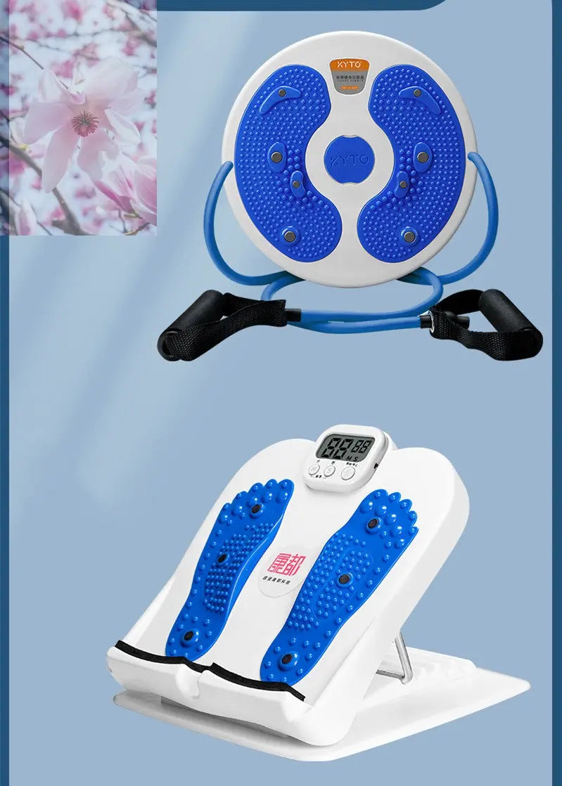 Massage Twisting Disk Mute Waist Weight Loss Fitness Equipment - Rooted Regenerative: Sustainable Foods for the Future