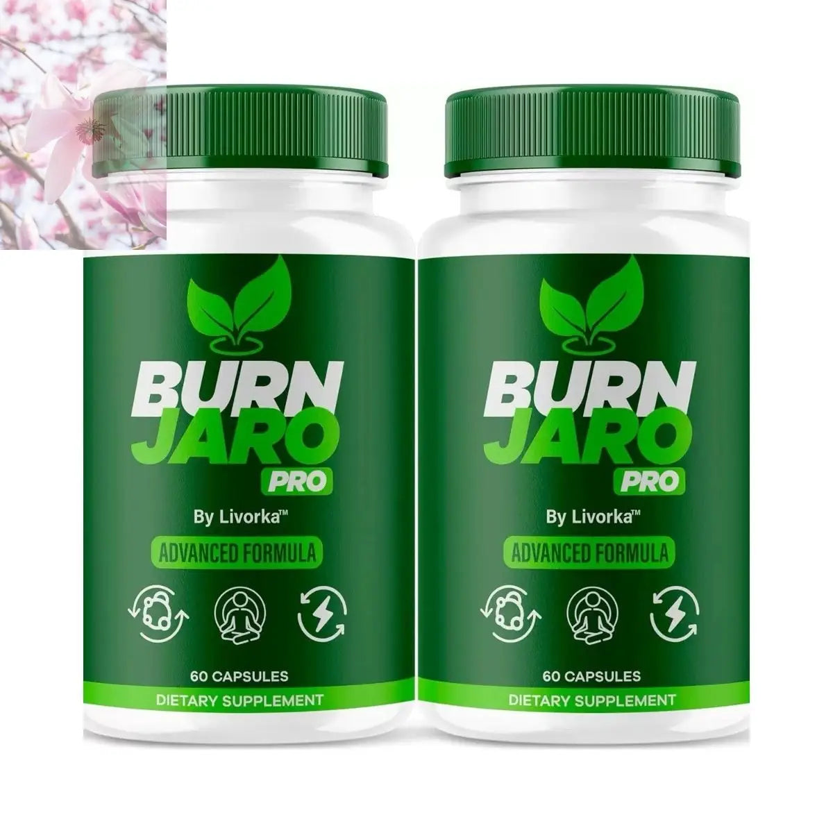 Fat Burning Capsules Health Supplements - Rooted & Regenerative: Sustainable Foods for the Future Rooted & Regenerative: Sustainable Foods for the Future Health & Welness