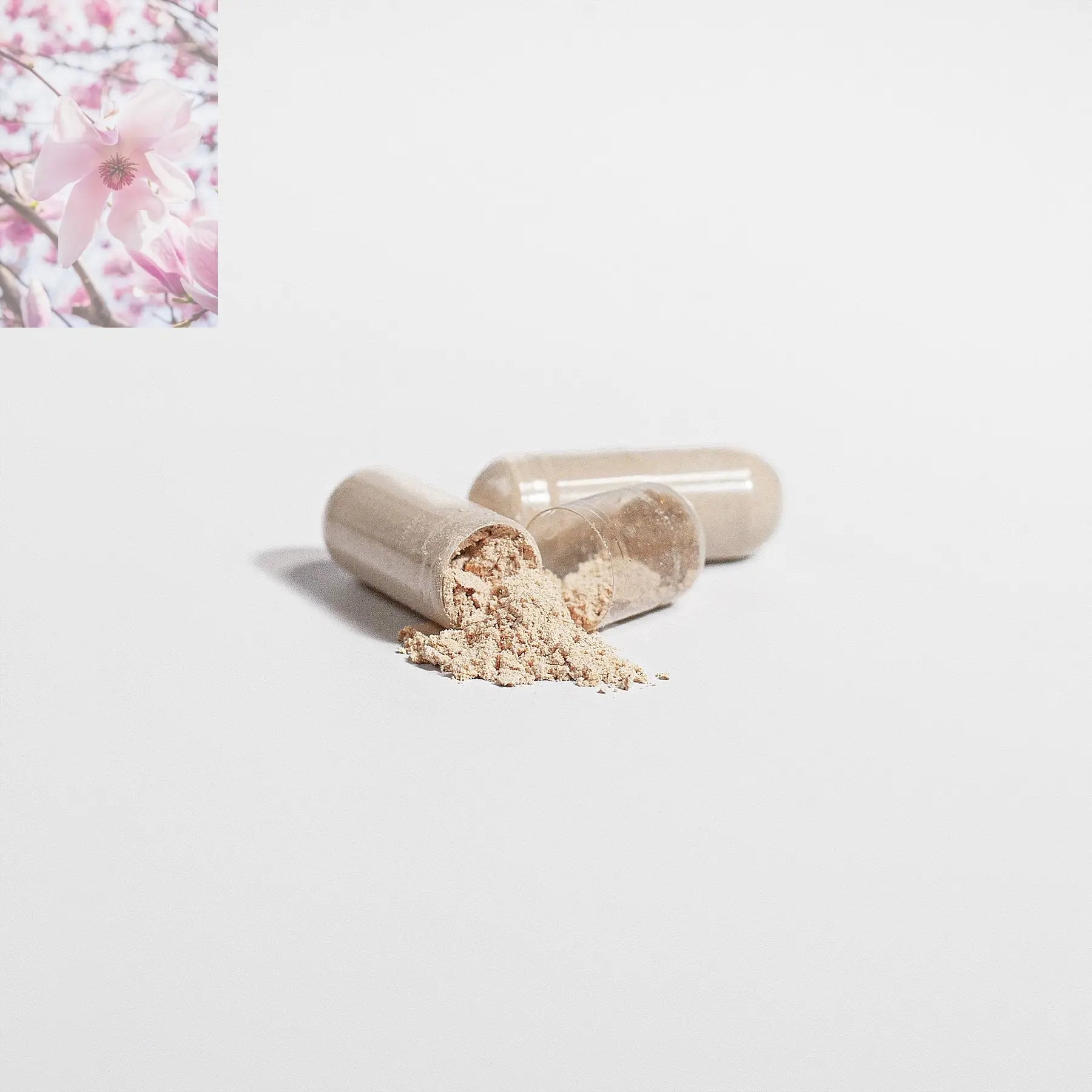 Lions Mane Mushroom Supplement Cognitive Support, Focus - Rooted Regenerative: Sustainable Foods for the Future Lions Mane Mushroom Supplement Cognitive Support, Focus Rooted & Regenerative: Sustainable Foods for the Future Health & Welness Rooted Regenerative: Sustainable Foods for the Future 