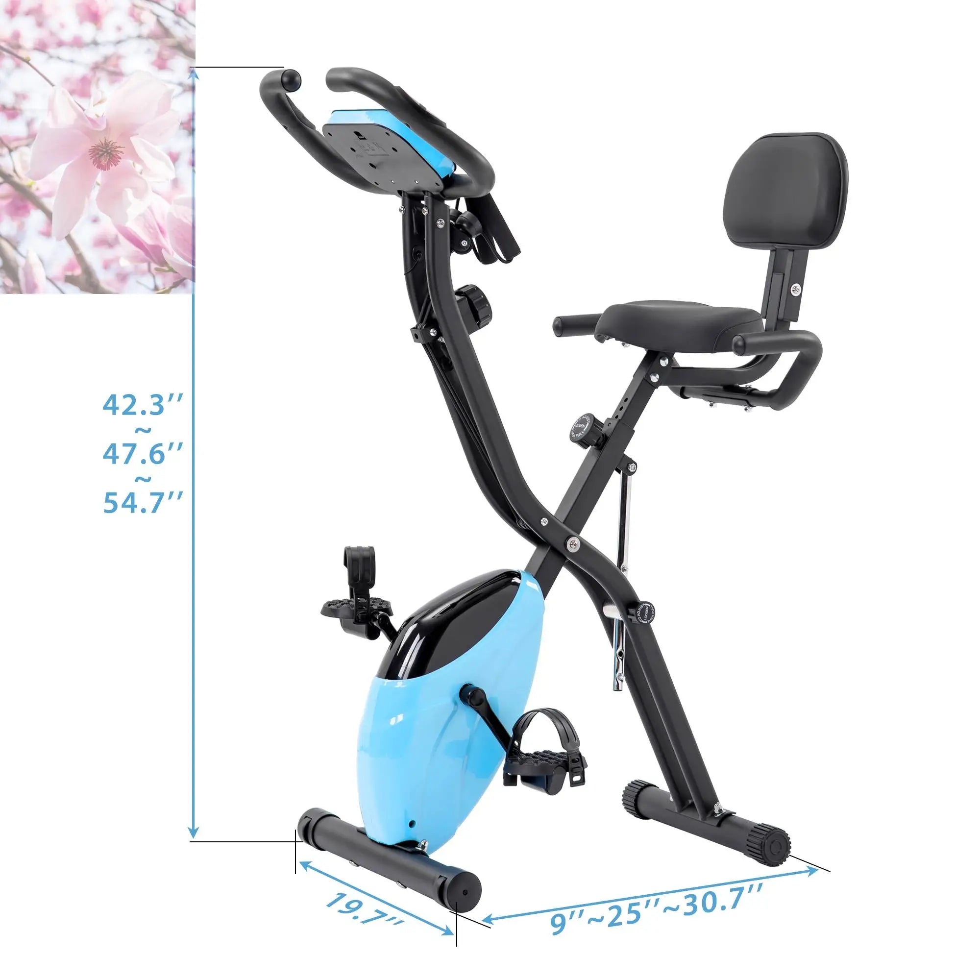 Folding Exercise Bike Fitness Upright And Recumbent X-Bike With 10-Level Resistance - Rooted Regenerative: Sustainable Foods for the Future