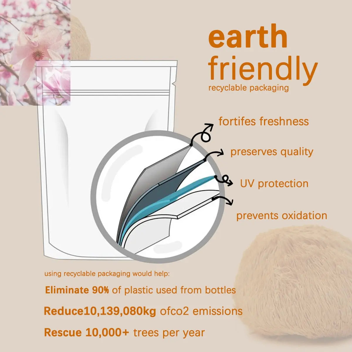 Food Health Organic Lion Bristle Mushroom Powder - Rooted Regenerative: Sustainable Foods for the Future