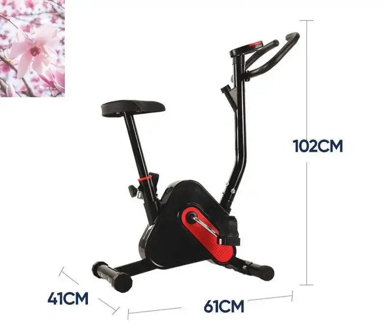 Exercise Bike Exercise Equipment Webbing - Rooted Regenerative: Sustainable Foods for the Future