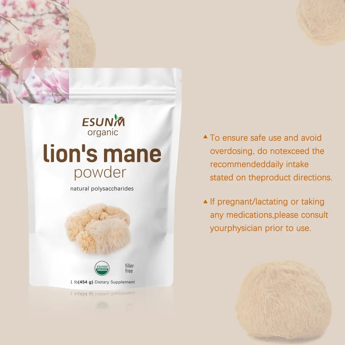 Food Health Organic Lion Bristle Mushroom Powder - Rooted Regenerative: Sustainable Foods for the Future