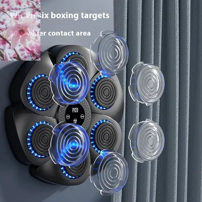 Smart Bluetooth Wireless Boxing Home Exercise Fitness Rooted & Regenerative: Sustainable Foods for the Future