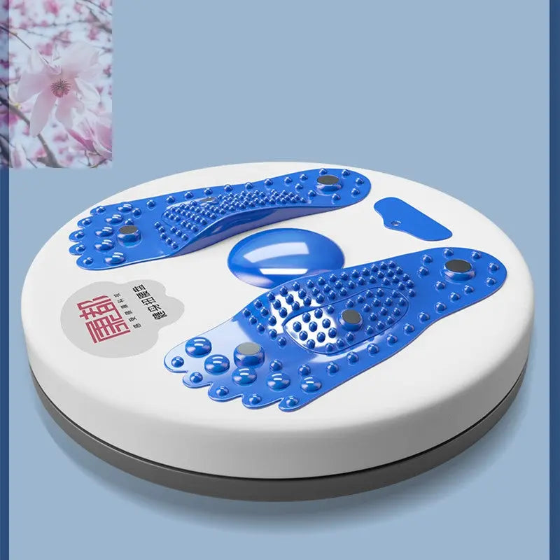 Massage Twisting Disk Mute Waist Weight Loss Fitness Equipment - Rooted Regenerative: Sustainable Foods for the Future