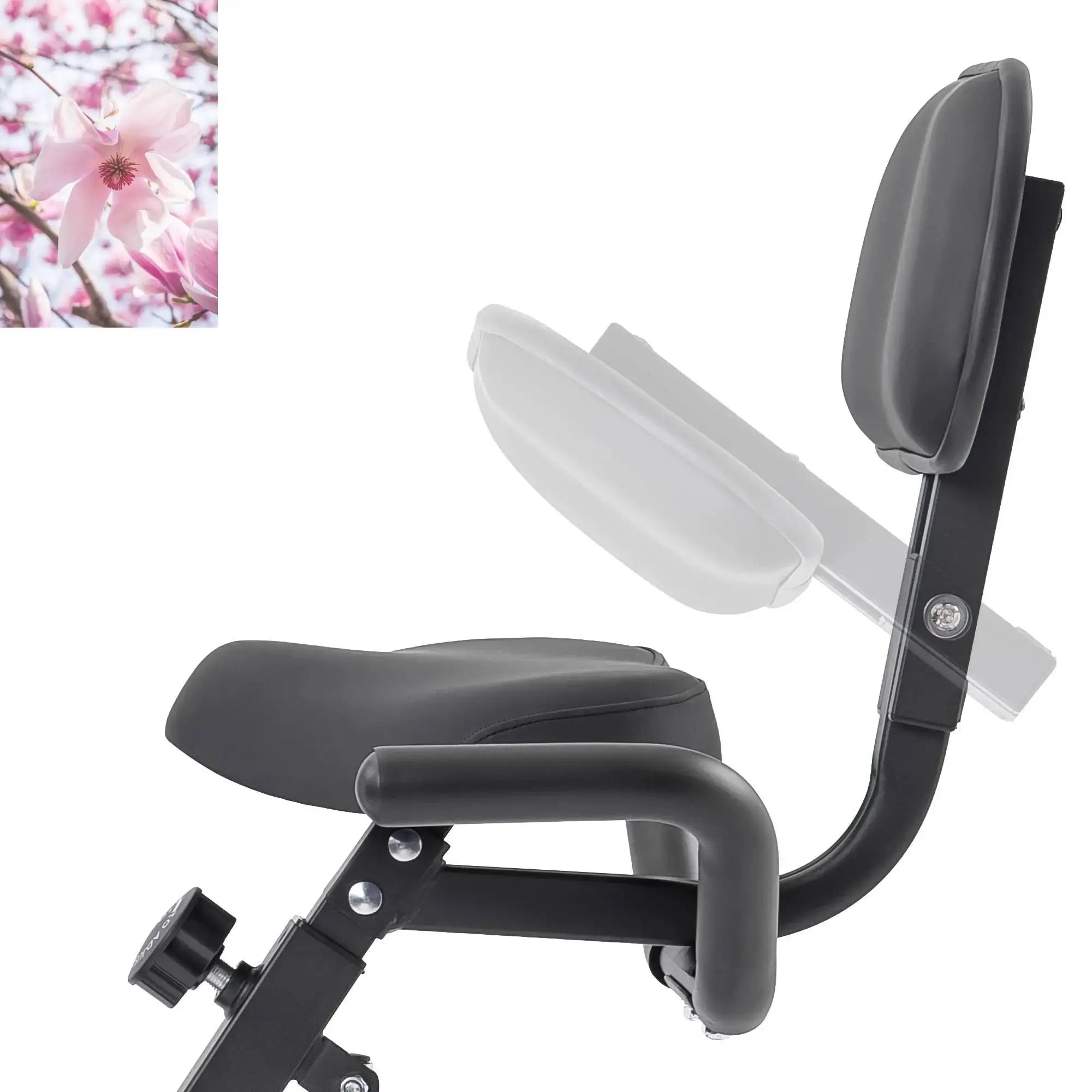 Folding Exercise Bike,Fitness Upright  Recumbent X-Bike  Adjustable Resistance - Rooted Regenerative: Sustainable Foods for the Future Rooted & Regenerative: Sustainable Foods for the Future  Rooted & Regenerative: Sustainable Foods for the Future Rooted Regenerative: Sustainable Foods for the Future Rooted Regenerative: Sustainable Foods for the Future Rooted Regenerative: Sustainable Foods for the Future Rooted Regenerative: Sustainable Foods for the Future Health & Welness