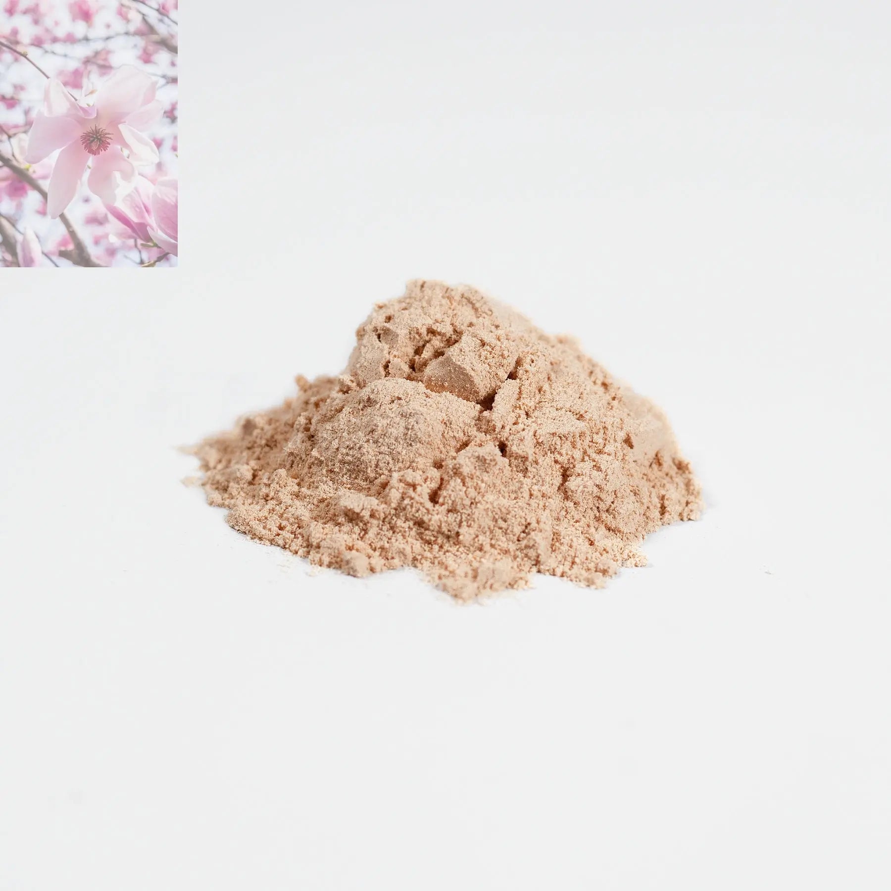 Fermented Mushroom Blend Immune Gut Health Support With Maximum Absorption - Rooted Regenerative: Sustainable Foods for the Future