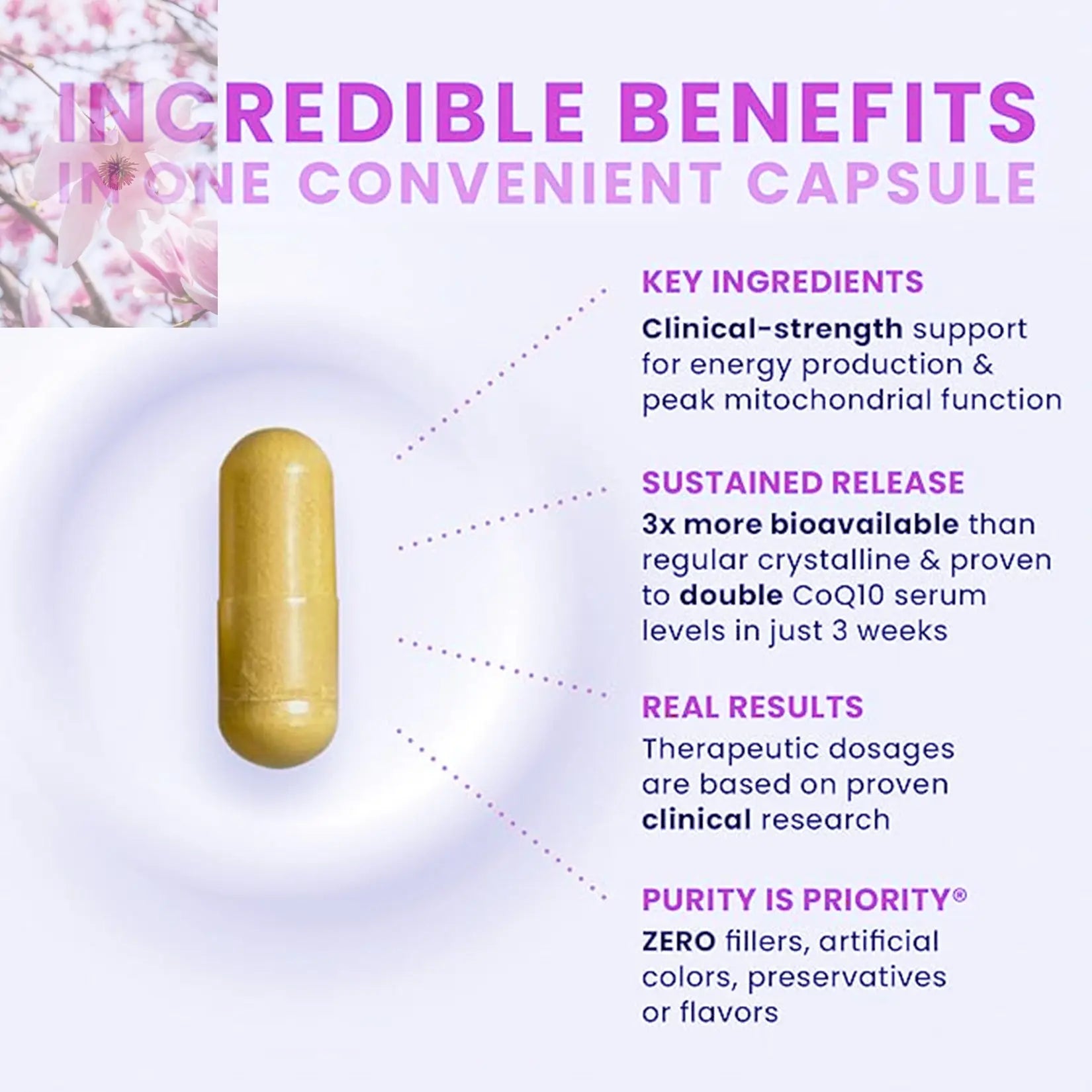 CoQ10 For Women Female Q10 Antioxidants Detox Menopause Immuse 200mg 30 Veg Non-GMO And Gluten Free Immune Supplement - Rooted Regenerative: Sustainable Foods for the Future