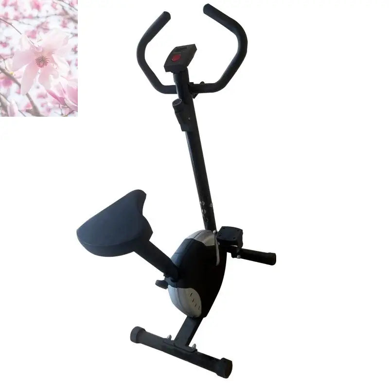 Home Office Bicycle Spinning Fitness Bicycle Fitness Equipment Ribbon Car - Rooted Regenerative: Sustainable Foods for the Future