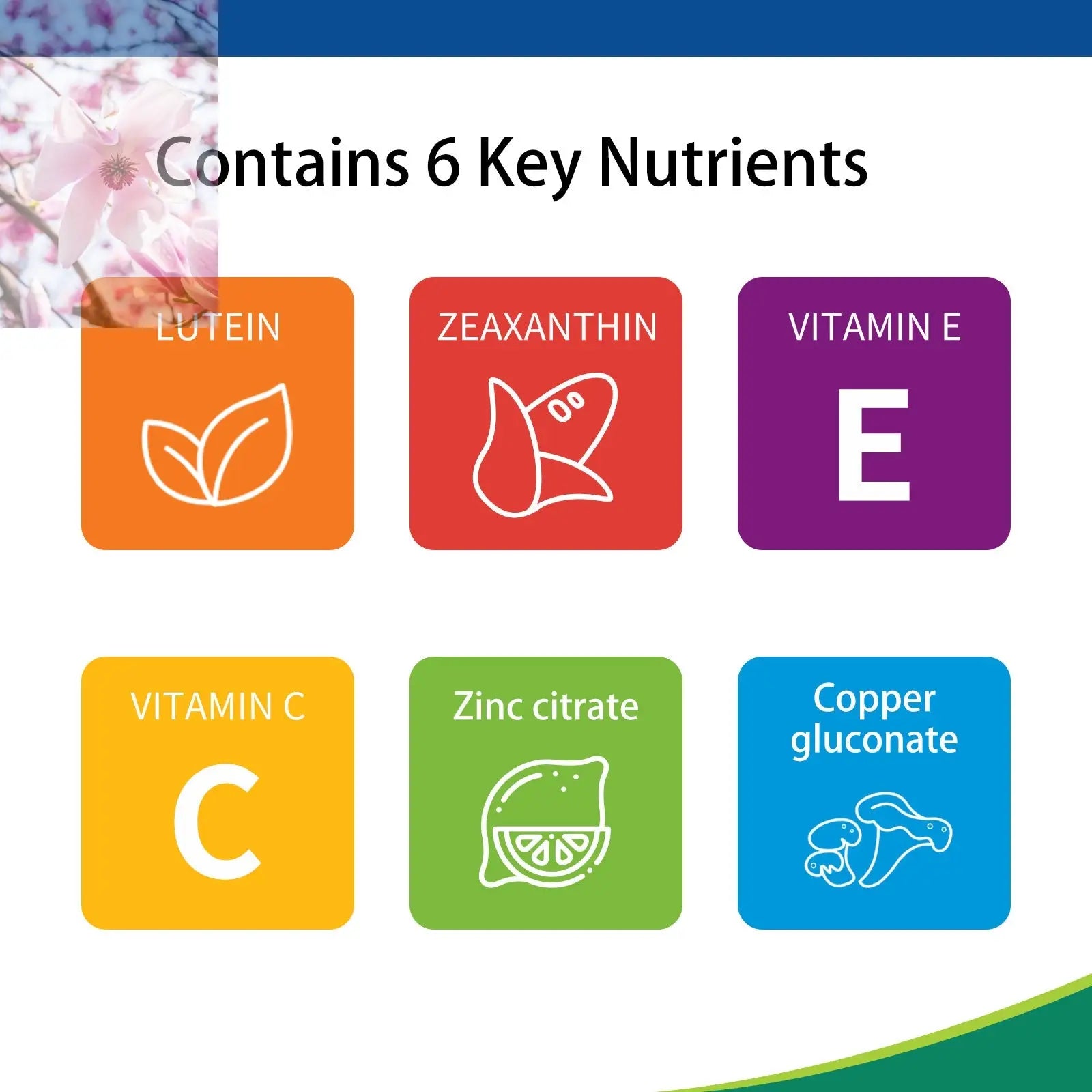 Eye Vitamin And Mineral Supplements - Rooted & Regenerative: Sustainable Foods for the Future Rooted & Regenerative: Sustainable Foods for the Future Health & Welness