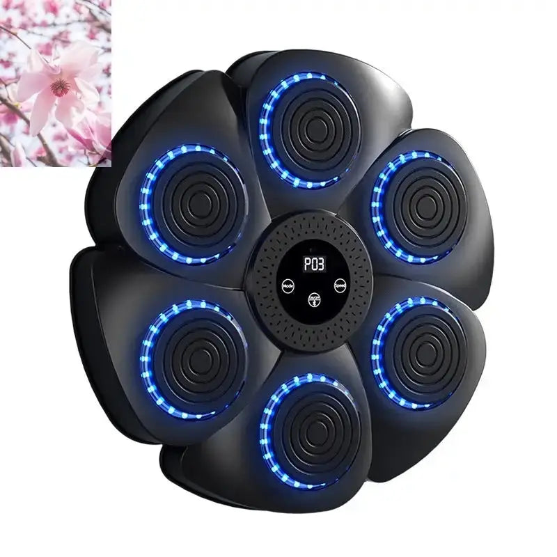 Smart Bluetooth Wireless Boxing Home Exercise Fitness Rooted & Regenerative: Sustainable Foods for the Future